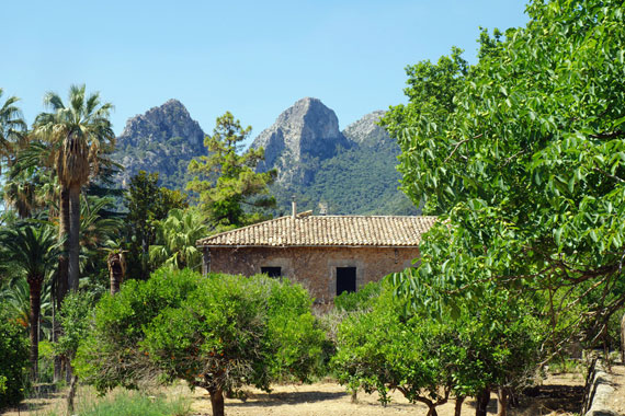 Mallorca, Balearen - Die Gärten von Alfàbia (Jardins d'Alfàbia) ( Urlaub, Reisen, Lastminute-Reisen, Pauschalreisen )