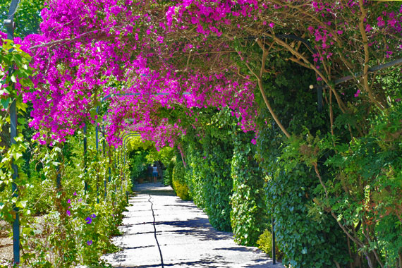 Mallorca, Balearen - Die Gärten von Alfàbia (Jardins d'Alfàbia) ( Urlaub, Reisen, Lastminute-Reisen, Pauschalreisen )