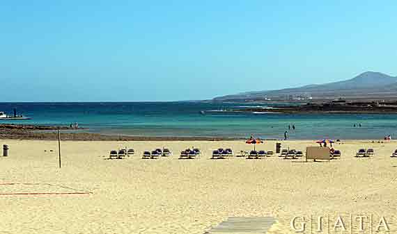 Strand, Caleta de Fuste, Fuerteventura, Kanaren ( Urlaub, Reisen, Lastminute-Reisen, Pauschalreisen )