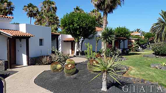 Barceló Castillo Beach Resort - Caleta de Fuste, Fuerteventura, Kanaren ( Urlaub, Reisen, Lastminute-Reisen, Pauschalreisen )